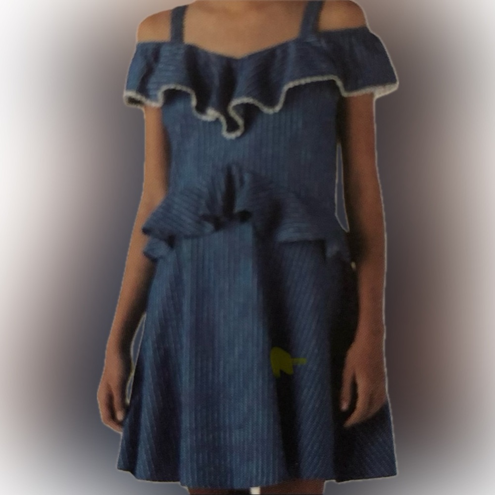 👧🏻 NWT BCBG girls indigo stripe dress
